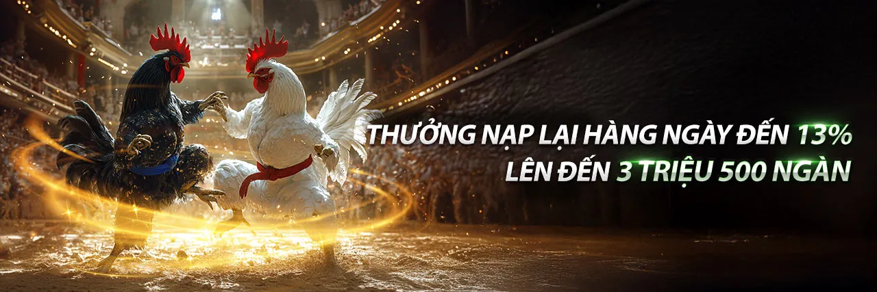 Nền tảng 55king với các trò chơi cá cược trực tuyến đa dạng