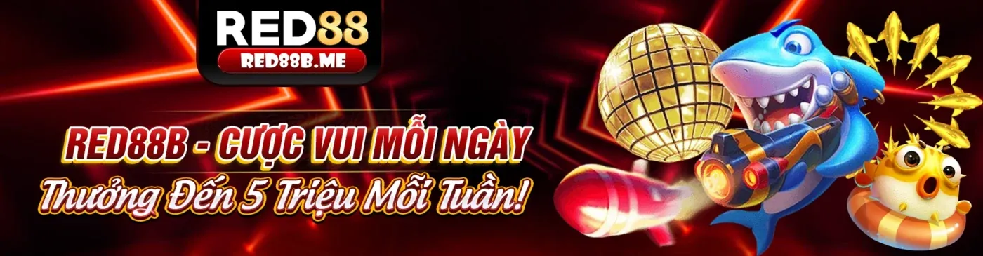 Chương Trình VIP 55king Đẳng Cấp