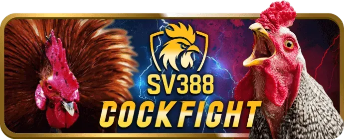 Đội ngũ hỗ trợ khách hàng chuyên nghiệp của 55king
